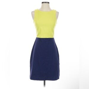 XS Cynthia Rowley Color Block Dress